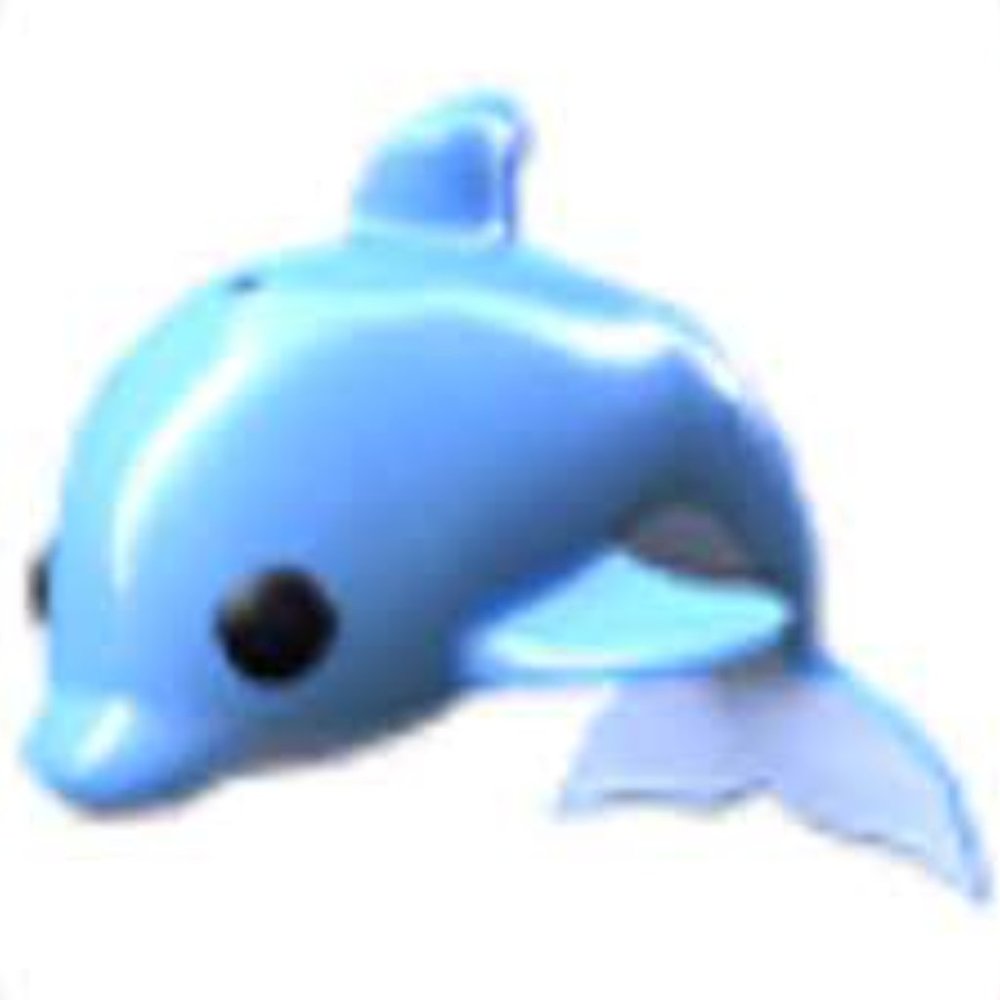 Dolphin - Picture 2 of 2